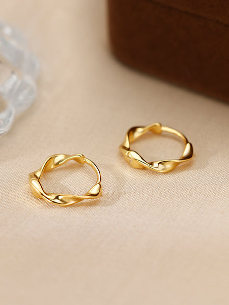 Irregular Niche-style Earrings For Women