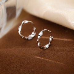 Irregular Niche-style Earrings For Women