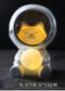Starry sky animal atmosphere night light