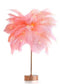Feather Lamp Nordic Desk Lamp European-Style Bedroom Bedside Feather Table Lamp Night Light Table Lamp Decoration Modern