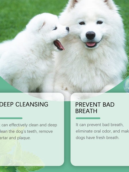 Yegbong Tooth Cleaning Powder For Dogs, A Gentle Formula To Freshen Breath And Protect Pet Oral Health Cleaning Powder