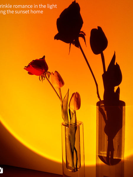 2 In 1 Mini Wireless Sunset Lamp Air Humidifier 300ML Fog Sprayer Humidifiers Ambient Light Mute Mist Maker For Home Decor Office