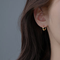 Irregular Niche-style Earrings For Women