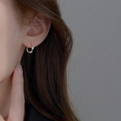Irregular Niche-style Earrings For Women