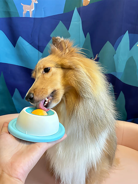 Slow Feeder Lick Mat for Dogs and Cats - Reduce Anxiety, Interactive Training & Licking Bowl for Puppies and Kittens