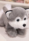 Heavy Particle Small Size Dog Lying Husky Plush Toy Doll Claw Machine Stuffed Animal Children's Birthday Gift