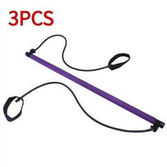 Chest Expander Puller