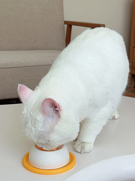 Slow Feeder Lick Mat for Dogs and Cats - Reduce Anxiety, Interactive Training & Licking Bowl for Puppies and Kittens